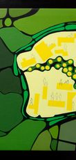 Geografía Universitaria, núcleo entre monstera