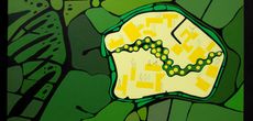 Geografía Universitaria, núcleo entre monstera