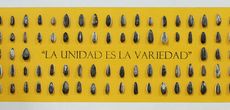 La unidad es la variedad