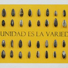 La unidad es la variedad