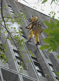 El uso de técnicas de prevención y protección para propiciar ambientes de trabajo sanos y seguros, es parte de la salud ocupacional. (Foto: Luis Alvarado. ODI, UCR)