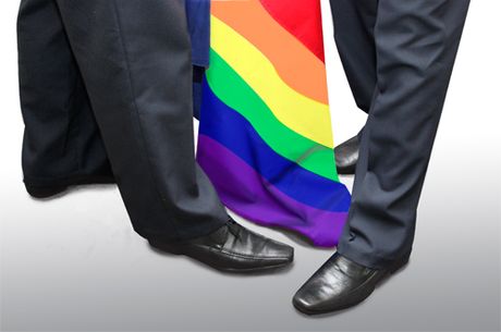 Para la UCR este referéndum implica aceptar que un grupo de personas, en virtud de su orientación sexual, no goza de los mismos derechos humanos que el resto de la ciudadanía. (Foto: Andrea Jiménez M.)