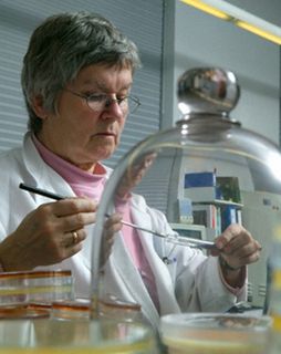 La UCR ahora podrá recontratar personal académico jubilado para apoyar labores docentes en grado y en proyectos de investigación y de acción social. (Foto: http://www.corbis.com)