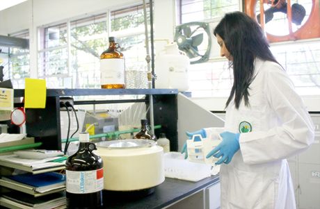 El nuevo reglamento procura facilitar los procesos de investigación, fortalecer los equipos investigativos, consolidar los programas y proyectos, así como las actividades de apoyo a la investigación en toda la UCR. (Foto: Andrea Jiménez)