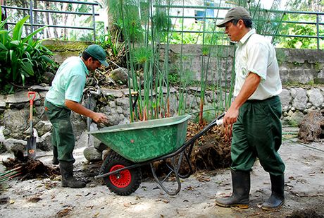 El Consejo Universitario tomó en consideración que la reforma permitiría obtener mayores rendimientos de los recursos invertidos, lo cual generará ganancias al trabajador. (Foto: Andrea Jiménez)