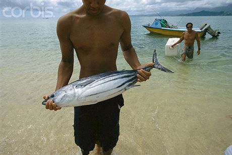 La UCR recomendó que la iniciativa de ley incorpore mayores estudios para brindar una protección marítima basada en criterios técnico-científicos. (Foto: http://www.corbis.com)