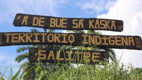 La UCR condenó de manera vehemente los ataques perpetrados en contra del pueblo indígena bribri en Salitre. (Foto: http://www.biodiversidadla.org)