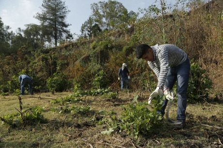 Este cambio es parte de una transformación global de la Ingeniería Agrícola hacia una mayor diversificación y campo de acción. (Foto: http://www.corbis.com)