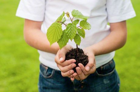 El Consejo Universitario advirtió de que las universidades públicas no pueden ser obligadas por ninguna ley a realizar investigaciones relacionadas con el cambio climático. (Foto: http://www.corbis.com)
