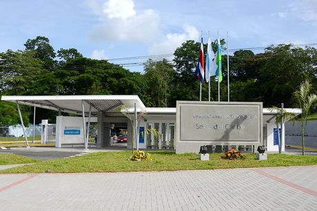 El Consejo Universitario de la UCR sustentó su decisión en una consulta especializada de la Sede Regional del Caribe.  (Foto: Oficina de Divulgación e Información, UCR)