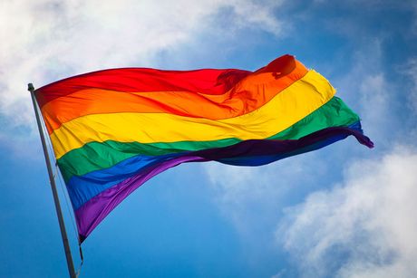 El 17 de mayo se celebra el Día Internacional contra de la Homofobia, la Lesbofobia y la Transfobia, en conmemoración de la fecha en que la Organización Mundial de la Salud eliminó a la homosexualidad como un trastorno mental.