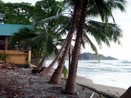 La UCR considera que la falta de una legislación moderna favorece las construcciones en la zona marítimo-terrestre y por ende la alteración de los ecosistemas sensibles a lo largo de toda esta área. (Foto: www.crhoy.com. Imagen con fines ilustrativos)