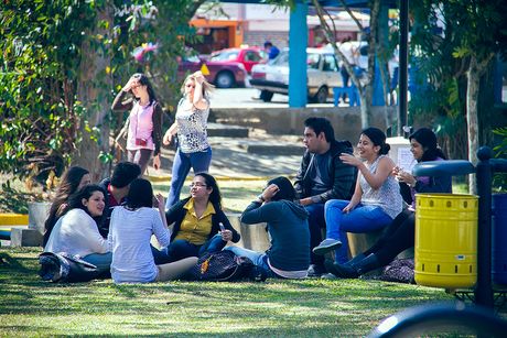 La propuesta de cambio surge a raíz de una solicitud de la representación estudiantil ante el Órgano Colegiado para que se valorara la pertinencia de que las remuneraciones provenientes del régimen de designaciones no se tomen en cuenta para la recalificación de la beca. (Foto: Andrea Jiménez)