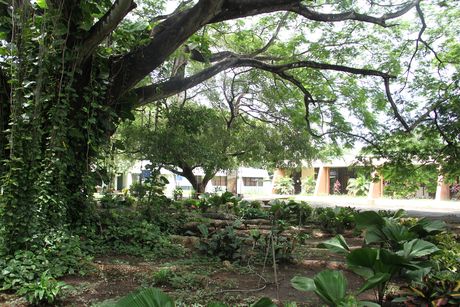 La Sede Regional de Guanacaste también celebra este año su 45 aniversario. (Foto: Nelson Brenes Mejía)