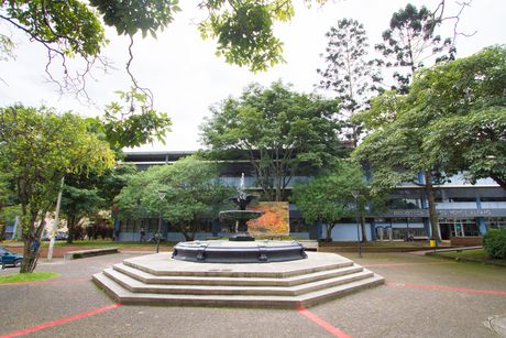 El presupuesto del FEES para el 2019 aumentaría solo un 3%, lo cual equivale a la inflación proyectada por el Banco Central de Costa Rica. (Foto: Andrea Jiménez)