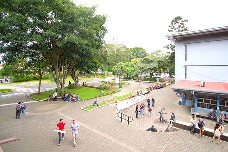 Las políticas institucionales son las que orientan el quehacer de la Universidad de Costa Rica. (Foto: Andrea Jiménez)