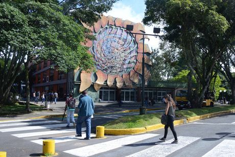 El Consejo Universitario manifestó que la adición que se pretende realizar al artículo 85 de la Constitución Política afecta, directa y negativamente, la consecución de los fines de las instituciones de educación superior pública. (Foto: Archivo ODI)