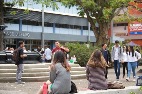 El Consejo Universitario reiteró su compromiso con el fortalecimiento de las acciones para erradicar el sexismo como una forma de violencia de género en la academia. (Foto: Arturo Padilla)