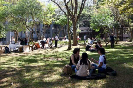 Dentro de tres meses, la Administración deberá presentar al Consejo un informe sobre las acciones realizadas para atender a la población universitaria que presenten situaciones que afecten la salud mental. (Foto con fines ilustrativos. Archivo ODI)