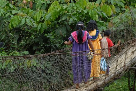 Las diferentes situaciones que afrontan las poblaciones indígenas costarricenses, especialmente cuando se violentan los derechos sobre sus tierras, han sido una constante preocupación de la UCR. (Foto: Archivo ODI)
