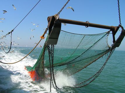 Foto de un barco pesquero.