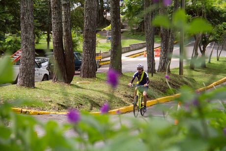 La imagen muestra un joven en bicicleta por el campus universitario.