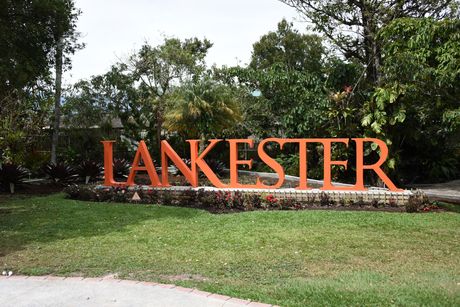 El Jardín Botánico Lankester se creó en 1973 gracias a que la UCR recibió como donación el jardín privado de orquídeas del naturalista Charles H. Lankester. (Foto: Laura Rodríguez, ODI)