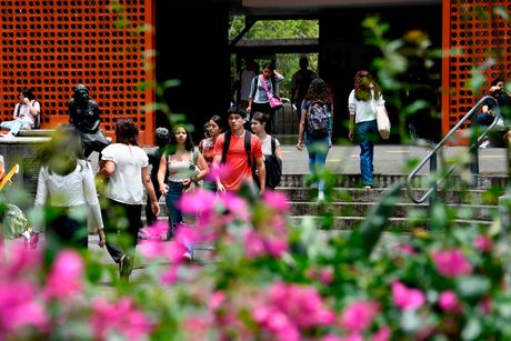 Con la reforma al Reglamento de la Universidad de Costa Rica en contra de la discriminación, se ampliaría el concepto para abarcar diversas formas de exclusión y lograr un amparo más integral.(Foto con fines ilustrativos. Andrea Jiménez, CU)