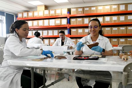 Personal docente, administrativo y estudiantes de la Institución pueden enviar sus observaciones a la normativa que está en consulta, a través de los medios que el Consejo Universitario pone a disposición. (Imagen con fines ilustrativos. Foto: Laura Rodríguez, OCI)