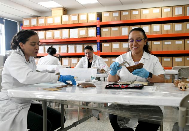 Personal docente, administrativo y estudiantes de la Institución pueden enviar sus observaciones a la normativa que está en consulta, a través de los medios que el Consejo Universitario pone a disposición. (Imagen con fines ilustrativos. Foto: Laura Rodríguez, OCI)
