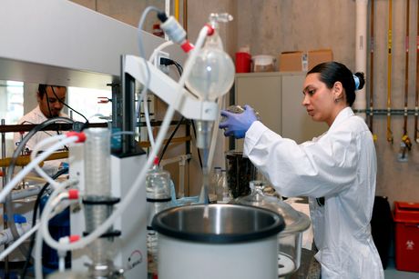 La inclusión de la gasificación por plasma en el análisis, se considera una de las alternativas más avanzadas y eficientes a nivel global para el tratamiento de desechos sólidos.(Foto: Laura Rodríguez, OCI,con fines ilustrativos)