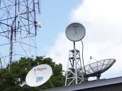 La Universidad de Costa Rica queda en la mejor disposición de colaborar con el criterio de personas expertas en la materia.(Foto: Cortesía Semanario Universidad)